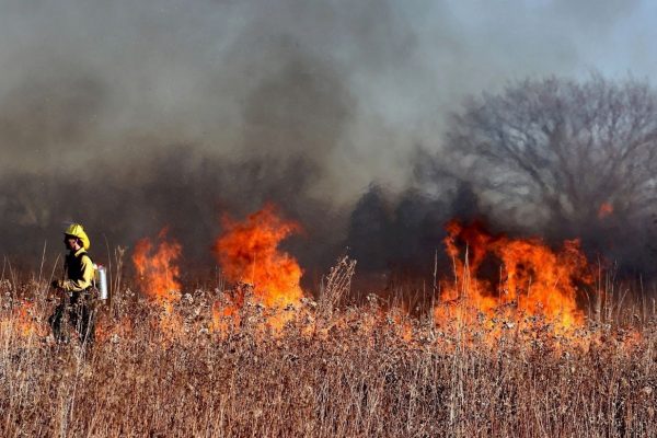 В Раменском ввели ограничение на пребывание в лесах