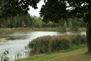 Объем работ по очистке Быковского пруда оценила комиссия