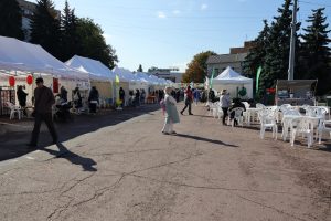 Пульс округа: восстановление после COVID-19, жалобы на водителей маршруток, фермерский фестиваль