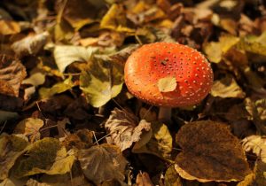 В фойе Раменского центра развития творчества детей и юношества проходит фото выставка