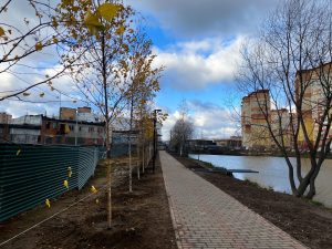 На Баулинском пруду в Островцах идут работы по благоустройству