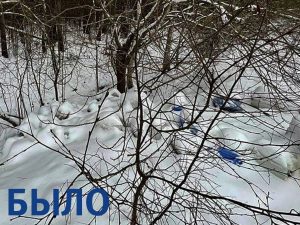 Партийцы инициировали проведение работ по очистке свалки на поле в деревне Лужки