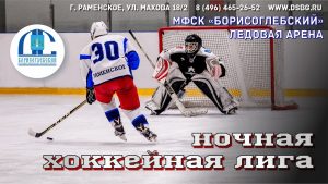 Матчи Ночной хоккейной лиги пройдут в Раменском в выходные