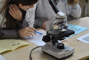 31 января и 2 февраля проходит региональный этап ВсОШ по биологии