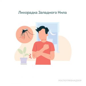 Лихорадка Западного Нила – инфекционная болезнь, распространенная во многих регионах мира