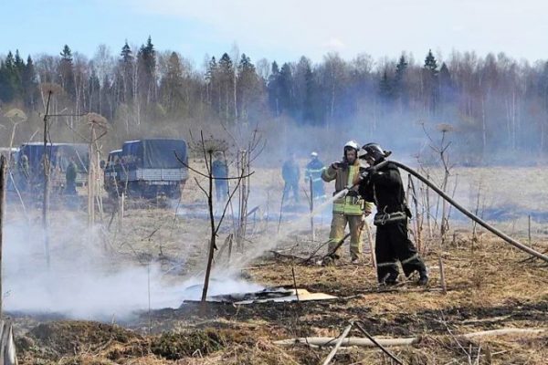 Огнеборцы ГКУ МО «Мособлпожспас» вступают в схватку с несанкционированным палом травы