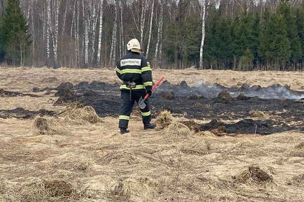 Районы, пострадавшие от пала травы