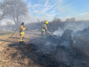 Жителей Подмосковья предупредили о последствиях пала травы