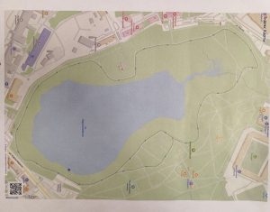 Новости Раменского