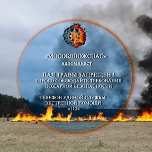 «Мособлпожспас» напоминает: пал травы запрещен!