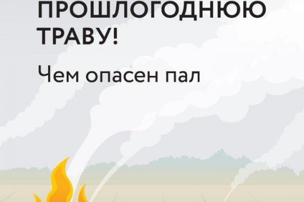 Продолжаем напоминать вам о запрете пала сухой растительности