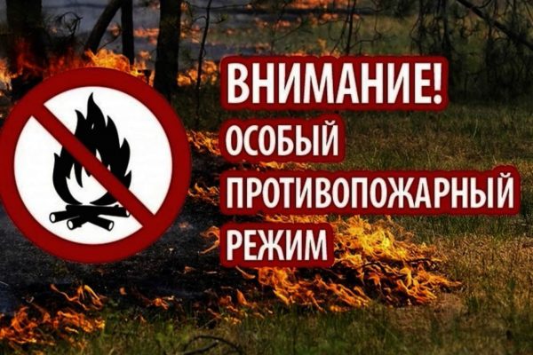 С введением на территории Подмосковья особого противопожарного режима производить пожароопасные работы запрещено