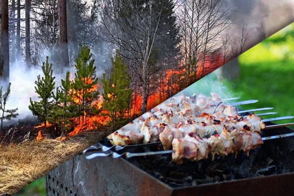 Правила пожарной безопасности на природе