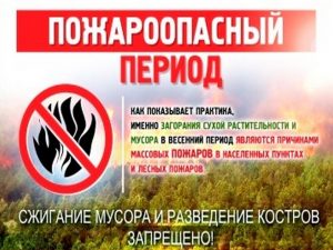 Работники ГКУ МО Мособлпожспас напоминают ПАЛ ТРАВЫ ЗАПРЕЩЕН