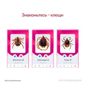 Сезон тиндера заканчивается, а сезон клещей в самом разгаре!