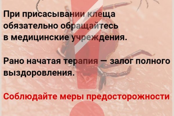 Среди инфекционных заболеваний, передающихся клещами, болезнь Лайма ( клещевого боррелиоза)- самая частая.