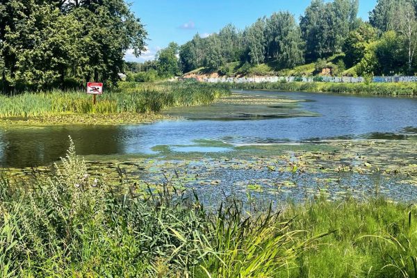 Ура, лето вернулось! Друзья, синоптики обещают на этой неделе 30-градусную жару