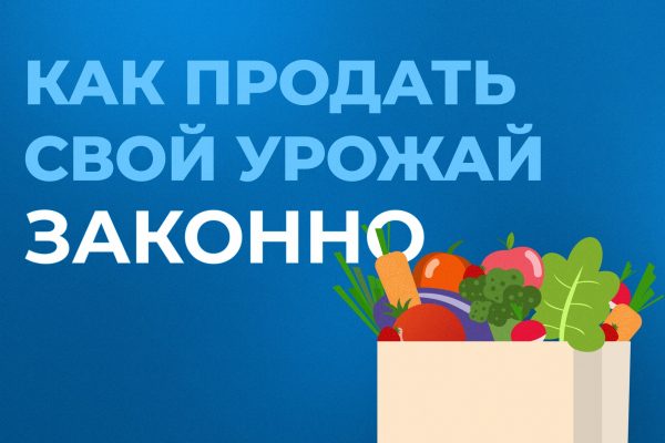 Законная продажа урожая в Подмосковье