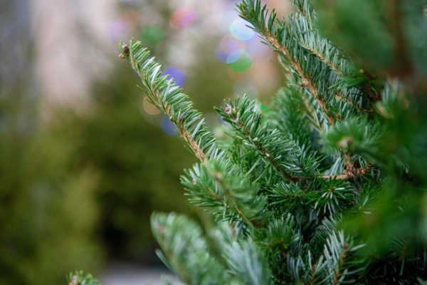 16.01.2024 г. в эфире Нового Раменского радио