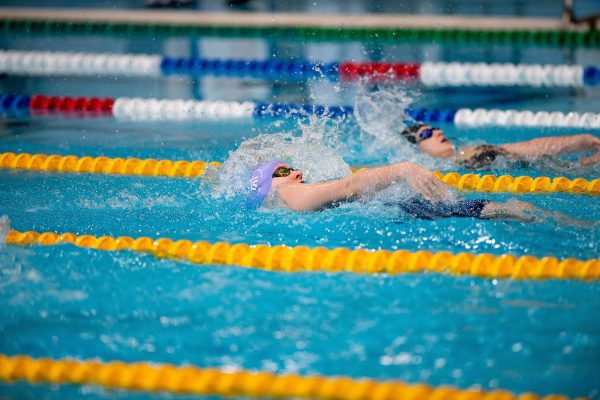 Четыре заплыва первой в России международной серии Swimcup по плаванию пройдут в Раменском г.о.