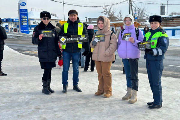 Профилактика ДТП с участием пешеходов находится на контроле у Госавтоинспекции