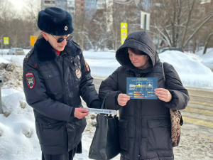 Рейд «Пешеходный переход» провели в Раменском