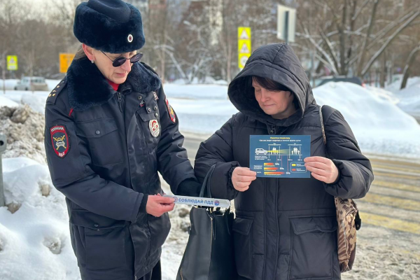 Рейд «Пешеходный переход» провели в Раменском