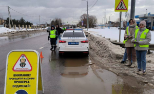 Госавтоинспекция проведет рейды в феврале в Раменском округе