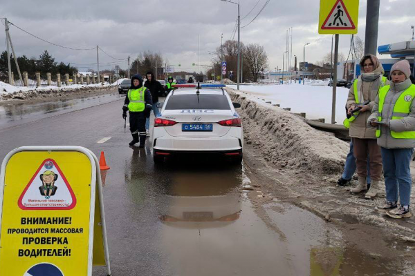 Госавтоинспекция проведет рейды в феврале в Раменском округе