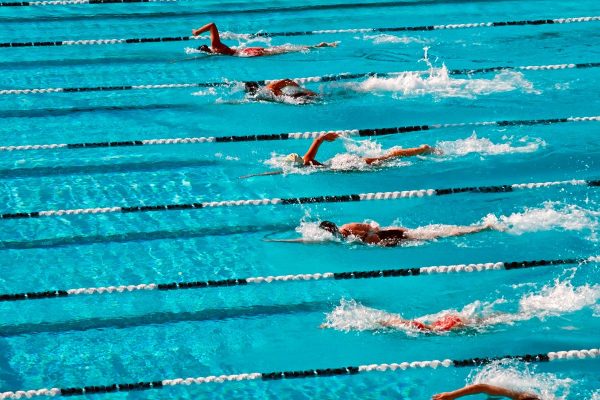 Весенние заплывы в рамках первой в России международной серии Swimcup по плаванию пройдут в бассейне «Сатурн»