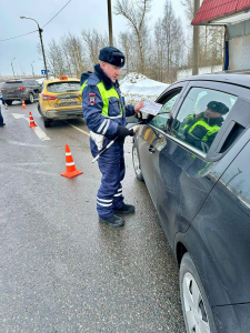Сотрудники подмосковной Госавтоинспекции проверили безопасность детей-пассажиров