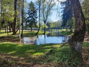 Сквер у Ильинского пруда в Раменском благоустроят в этом году