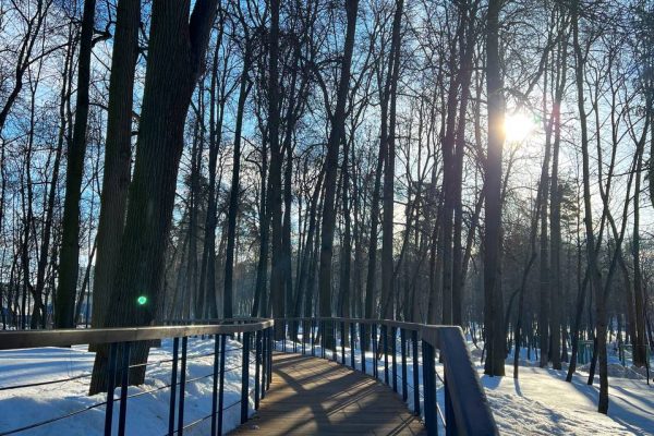 В Раменском парке открыли сезон экскурсий