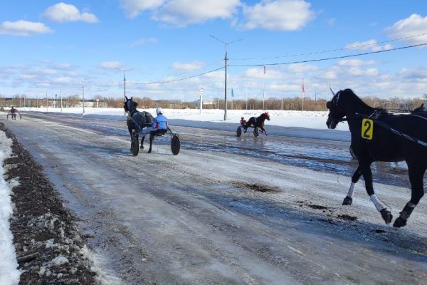 На Раменском ипподроме 9 марта прошли испытания лошадей рысистых пород