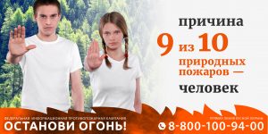 Пал сухой травы опасен!