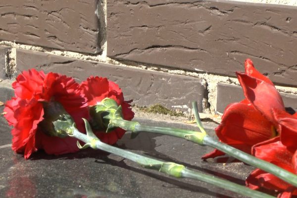 Афиша праздничных мероприятий в Раменском, посвящённых 79-й годовщине Победы в Великой Отечественной войне