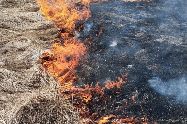 Нарушителям противопожарного режима грозят большие штрафы