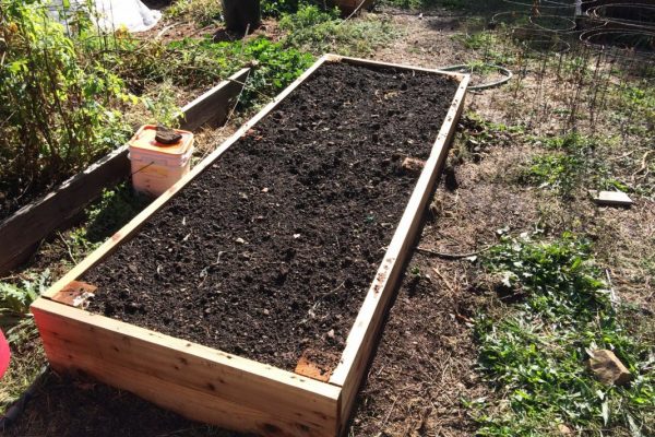 17.09.2024г. в эфире Нового Раменского радио