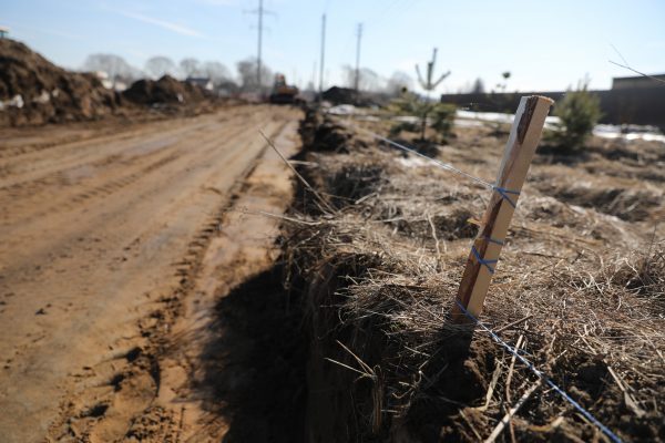 Более 60 многодетных семей Раменского округа получили выплаты вместо земельного участка в 2024 году