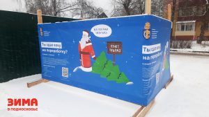 В Раменском откроются шесть пунктов приема новогодних деревьев