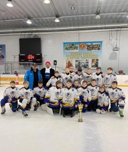 Воспитанники спортшколы «Раменское» взяли серебряные медали на турнире по хоккею