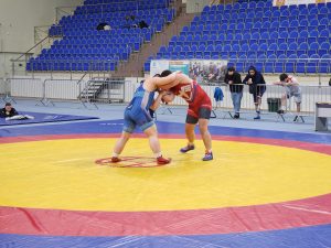 Областной турнир по вольной борьбе среди мужчин состоялся в Раменском