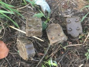 Станция по борьбе с болезнями животных информирует