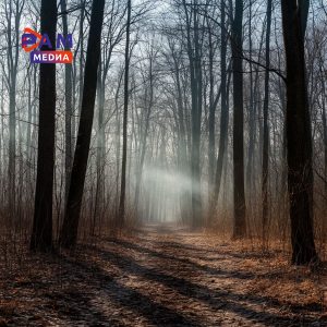 Более 6 тысяч раз обратились жители в ЕДДС Раменского округа на прошлой неделе