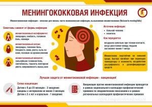 Менингококковая инфекция встречается во всех странах мира