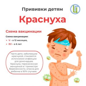 Роспотребнадзор о профилактике краснухи