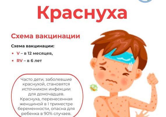Роспотребнадзор о профилактике краснухи
