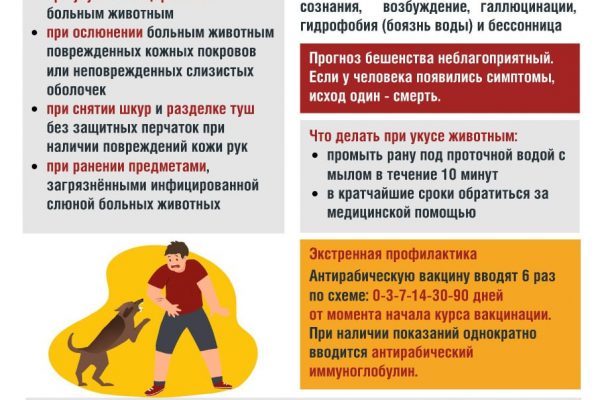 Роспотребнадзор о профилактике бешенства