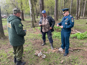 В Раменском округе провели рейд в лесных массивах