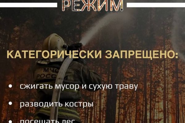 С  17 апреля на территории Московской области введен особый противопожарный режим